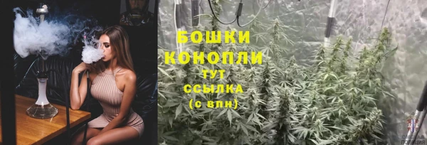 ПСИЛОЦИБИНОВЫЕ ГРИБЫ Алзамай