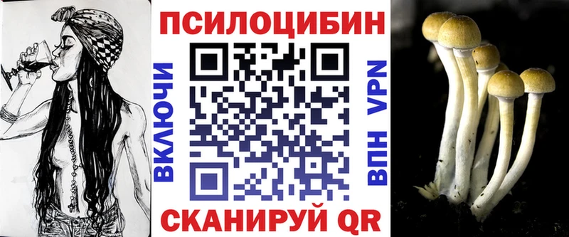 kraken сайт  Донской  Псилоцибиновые грибы Psilocybe 